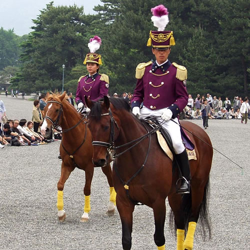 京都府警平安騎馬隊になるには 年収 収入 採用 難易度 倍率 試験 職業ガイド